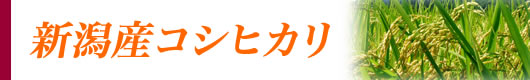お菓子の素材